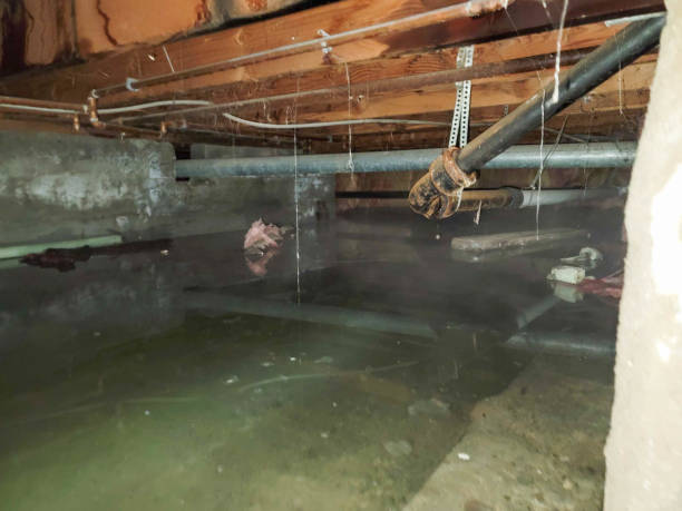 Best Carpet water damage restoration  in Garnet, CA