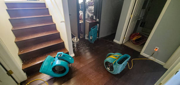 Best Water damage restoration near me  in Garnet, CA