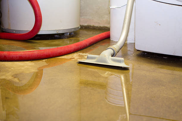 Best Professional water damage repair  in Garnet, CA