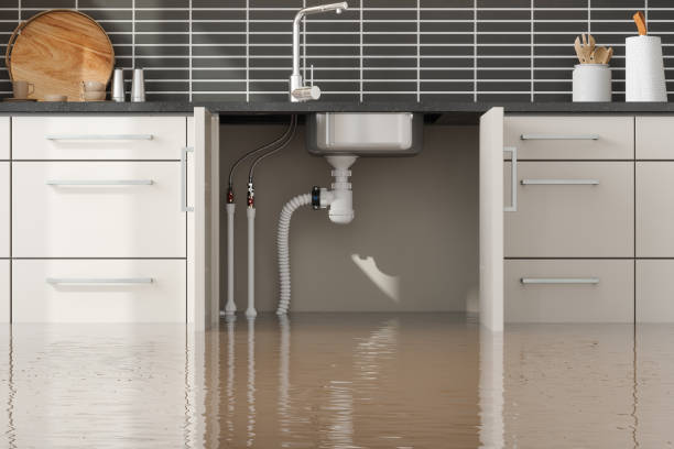 Trusted Garnet, CA Water damage restoration Experts